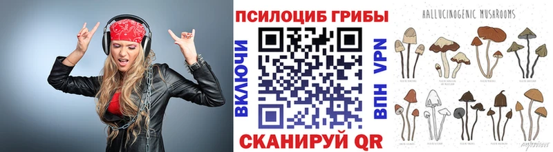 Псилоцибиновые грибы Psilocybe  Новосибирск 
